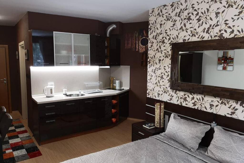 Studio Iceberg Borovets Студио с кухня Екстер'єр фото